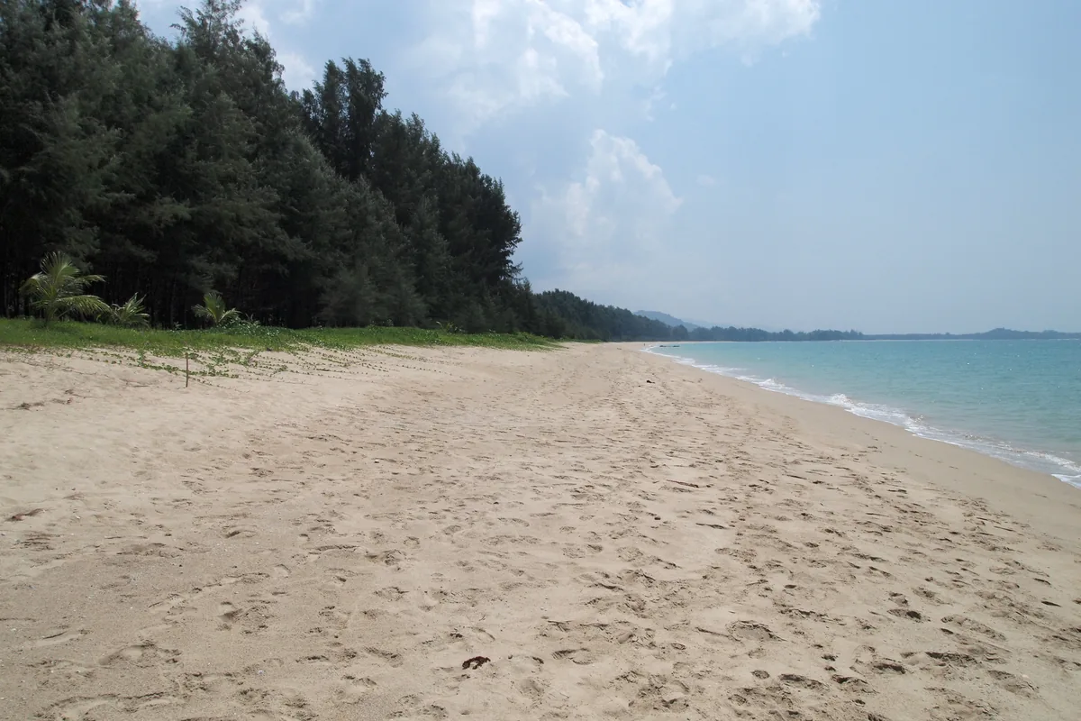 A sandy shoreline edged by trees in Khao Lak–Lam Ru National Park