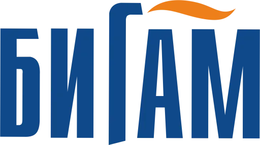 БИГАМ